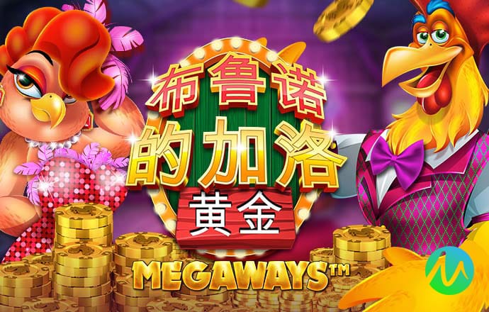 香港六台宝典资料